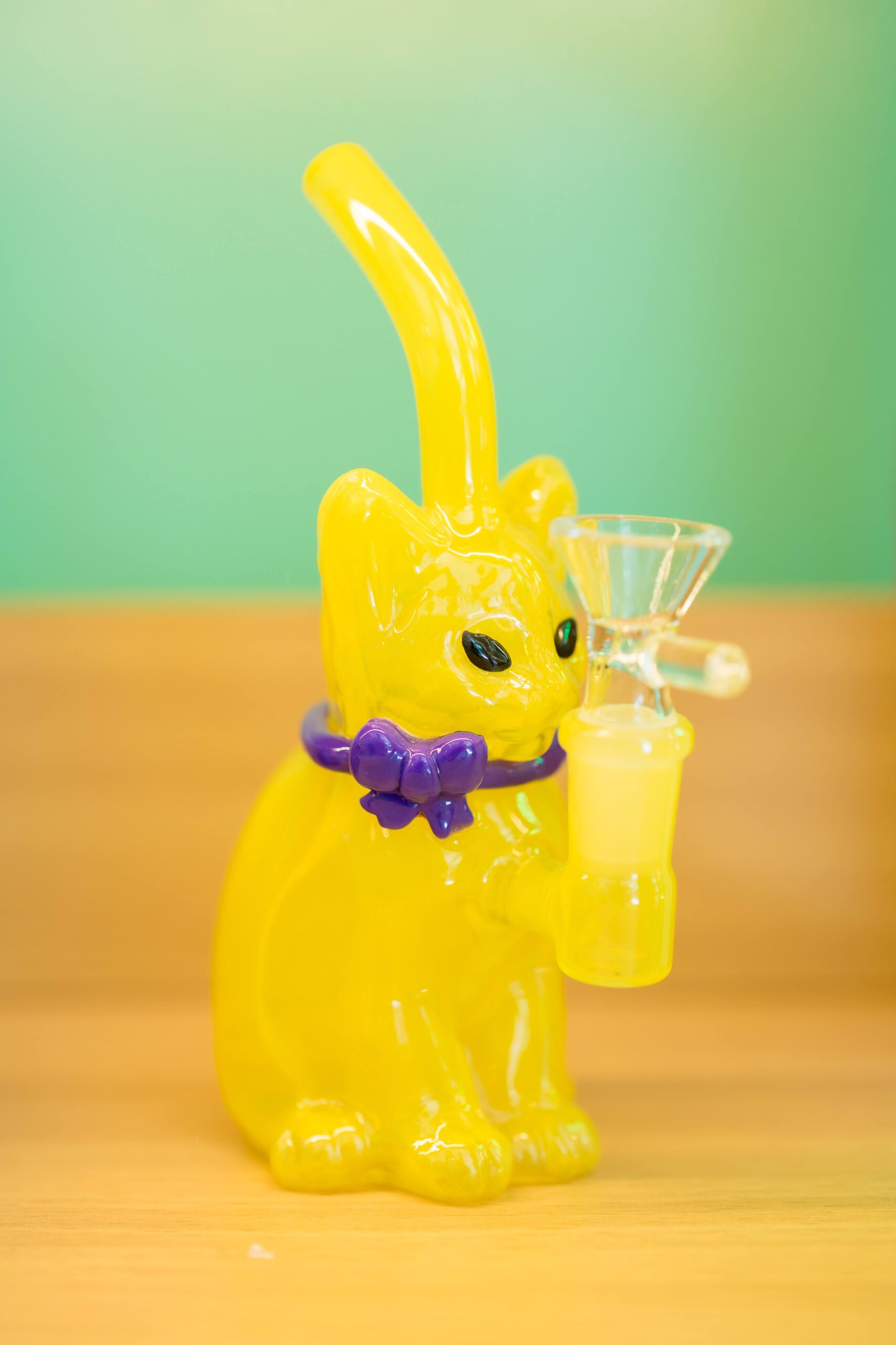 Cat Bong – Yellow